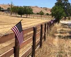 Flags on Fence